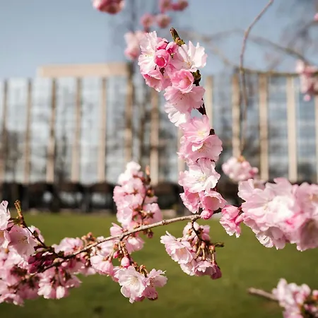 Sheraton Essen Hotel-2